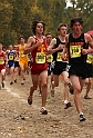 2010CIF XC BD2-1301